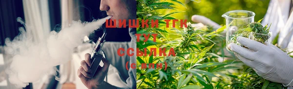 твердый Абаза