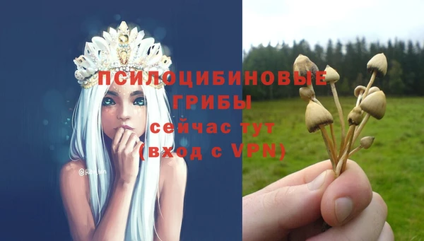 мяу мяу мука Алзамай