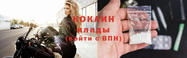 твердый Абаза