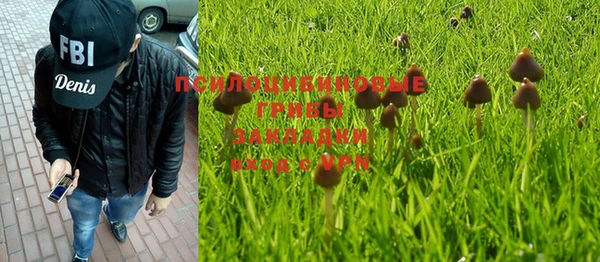шишки Абдулино
