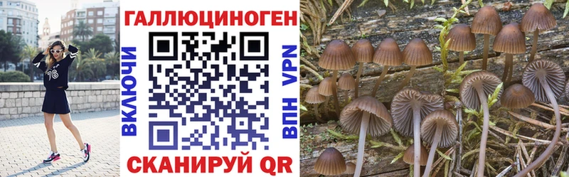 Псилоцибиновые грибы MAGIC MUSHROOMS  кракен ONION  Инсар 